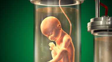 贝孕家助孕_供精者的染色体会有问题吗_[七台河试管婴儿]做试管出现哪些情况