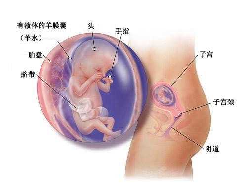 广西怎样进助孕群 2022广西壮族自治区妇幼保健院试管婴儿生男孩成功率一览