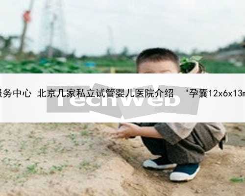 北京代孕服务中心 北京几家私立试管婴儿医院介绍 ‘孕囊12x6x13mm是男孩’