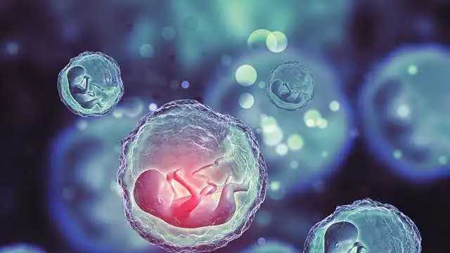 胚胎发育不好会自然流产吗